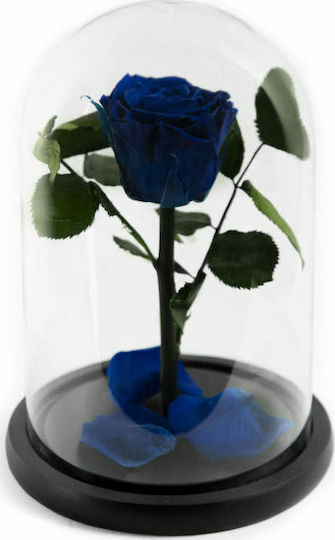 All Saints Rose Ocean Blue in Yala Aleiferopoulos Flowers