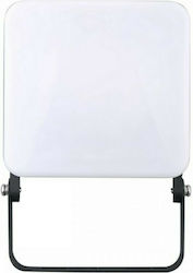 Spot Light 643 Spot Light 643