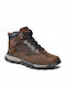 Timberland Treeline Trekker Ανδρικά Ορειβατικά Μποτάκια Καφέ