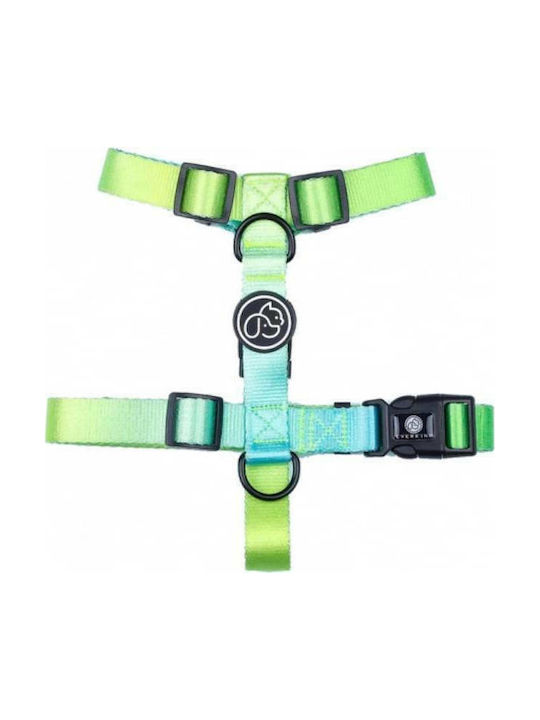 Trixie Σαμαράκι Σκύλου Everking Neon Collection Τιρκουάζ Medium 46 - 65cm