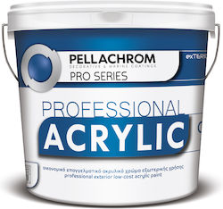 Pellachrom Professional Acrylic Plastic Vopsea pentru Utilizare Extern 750ml