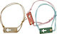 Nuova Vita Christening Charm Bracelet 2025 Beige 50pcs