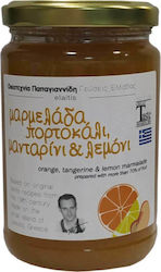 Οικοτεχνία Παπαγιαννίδης Γεύσεις Ελλάδας Marmelade Orange, Mandarine & Zitrone 380gr