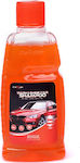 Carsun Shampoo Cleaning Car Shampoo for Body Wash And Shine Car Shampoo 500ml C1992