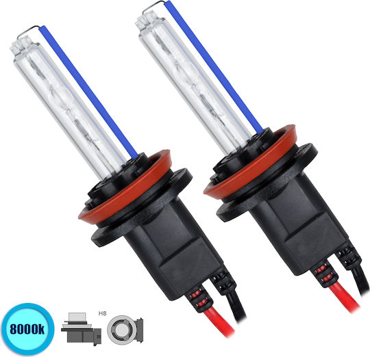 GloboStar Lamps Car & Motorcycle H8 Xenon 8000K Cold White 24V 70W 2pcs