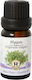 Herbstore Essential Oil Oregano 10ml