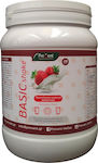 PreVent Basic Shake Supplement for Weight Loss 465gr Strawberry