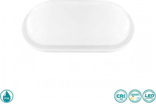 Spot Light Ceiling Lamp LED 15W 3000K Spot Light Ceiling Lamp LED 15W 3000K