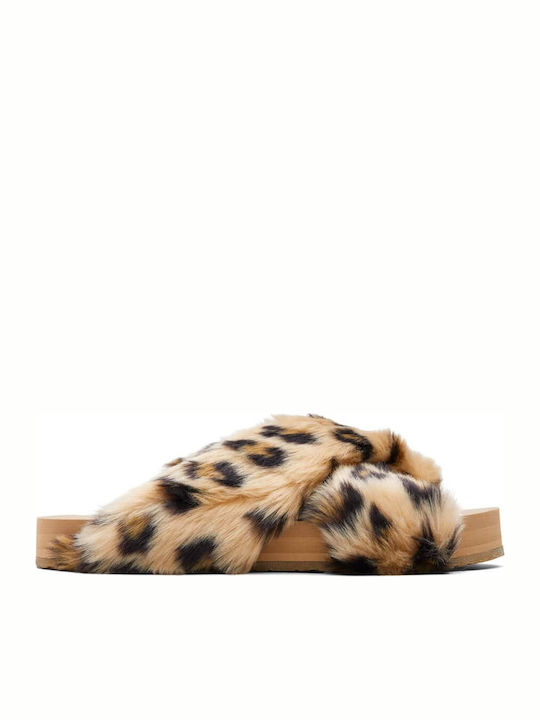 Toms