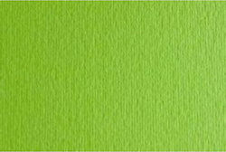 Fabriano Картон Elle Erre 70x100 см Зелен