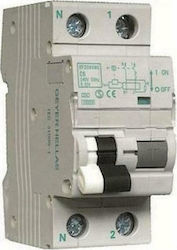 Geyer Phase 2-Pole Earth Leakage Relay 16A EF216DMC