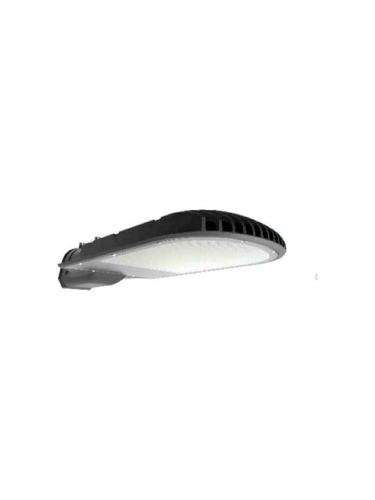 Geyer Economy Plus II Outdoor Floor Lamp LED Road 100W with Natural White Light IP65 Gray