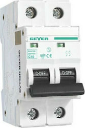 Geyer 2-Poles Automatic Circuit Breaker 25A EA225BA