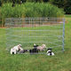 Trixie Puppy Run Metallic Dog Park 154x91cm Silver