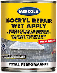 Mercola Isocryl Repair Wet Apply Elastomeric Ac...
