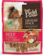 Sam's Field Crunchy Beef with Apple & Carrot Λιχουδιά Σκύλου με Καρότο 200gr