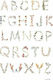 Mushie Educational Kids Poster Large Alphabet International 70x50cm