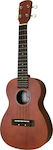 Gewa Almeria Concert Ukulele Brown