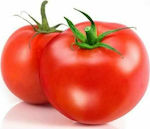 Tomato Grumira 1,000seeds