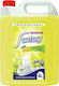 Endless Fantasy Professional Washing-Up Liquid with Fragrance Λεμόνι 1x4lt