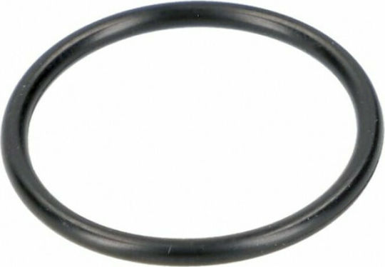 Piaggio Ölfilter Μοτοσυκλέτας O-Ring Ölfilter 20.35x1.78