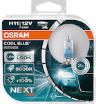 Osram Lamps Car PGJ19-2 Intense NextGeneration H11 Halogen 5000K Cold White 12V 55W 2pcs