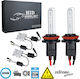 GloboStar Car Xenon Kit Extreme Series H9 CAN Bus 110W 9-16V 6000K Cold White