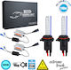 GloboStar Truck Xenon Kit Extreme Truck Series HB4-9006 CAN Bus 110W 24V 8000K Cold White