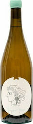 Podgoriile Antonopoulou Vin Alb Sec 750ml Podgoriile Antonopoulou Vin Alb Sec 750ml