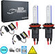 GloboStar Car and Motorcycle Lamps H8 Canbus Xenon 8000K Cold White 9-16V 70W 2pcs