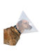 Trixie Dog Collar Cone Collars In Transparent Colour Small/Medium 38-44cm/20cm Medium / Small