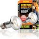 Exo Terra Intense Basking Spot 50W Accessory fo...