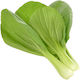 Click and Grow Seeds Chinese Cabbage 3pcs