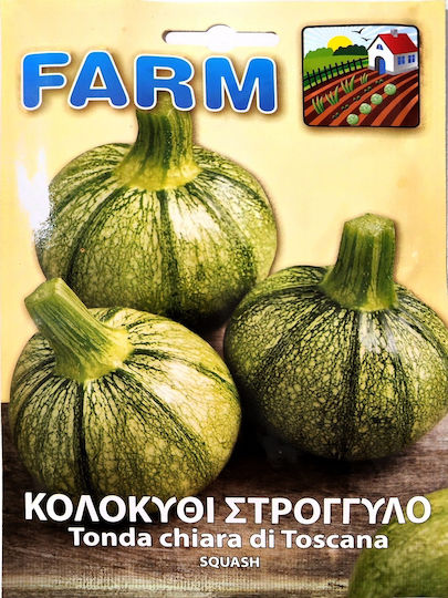 Primasem Samen Kürbisς Zucchini Grün 20gr