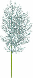 Lianos Branch Length 55cm Lianos Branch Length 55cm