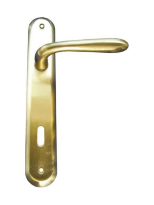 Lever Middle Door with Plate Pair Gold