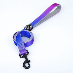 Everking Lesură/Odihnă Câine Curea Everking Neon Mic Violet 1.5m