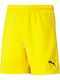 Teamrise Children's Shorts Style Football