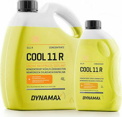Dynamax Cool 11R Kühlmittel für den Kühler Auto G11 -18°C Gelb Farbe 4Es Dynamax Cool 11R Kühlmittel für den Kühler Auto G11 -18°C Gelb Farbe 4Es