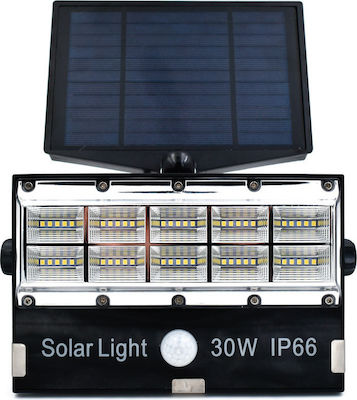 Στεγανός Ηλιακός Προβολέας LED 30W Ψυχρό Λευκό με Αισθητήρα Κίνησης IP66