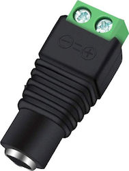 Anschluss für CCTV-Zubehör Anschluss für CCTV-Zubehör