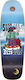 Siamese Slick Multi 9.375" Skateboard Shortboard Multicolored
