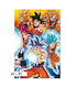 Abysse Αφίσα Dragon Ball Transformations 61x91cm