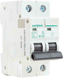 Geyer 2-Poles Automatic Circuit Breaker 10A EA210C