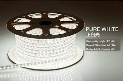 Rezistentă la apă Bandă LED Alimentare 12V cu Lumină Alb Rece Lungime 5m și 60 LED-uri pe Metru SMD2528