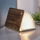 Gingko Decorative Lamp Book Brown