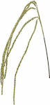 Iliadis Christmas Decorative Branch 50cm