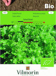 Vilmorin Bio Salad Bowl Samen Kopfsalat Bio-Anbau