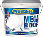 Praktiker Mega Roof Material etanș Alb