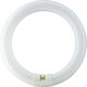 Philips Fluorescent Lamp for Socket G10Q with Shape T9 32W